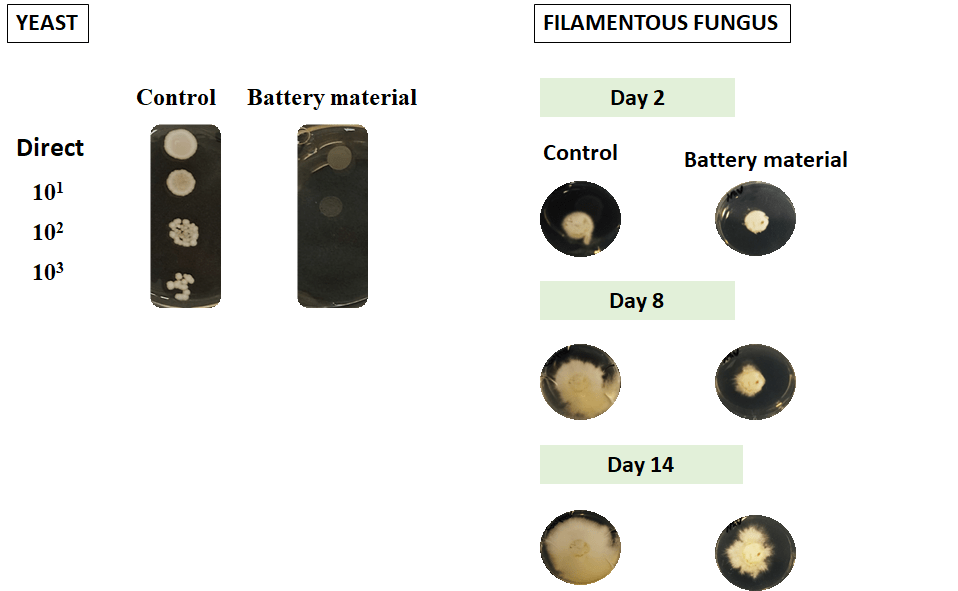 Toxicity of battery materials