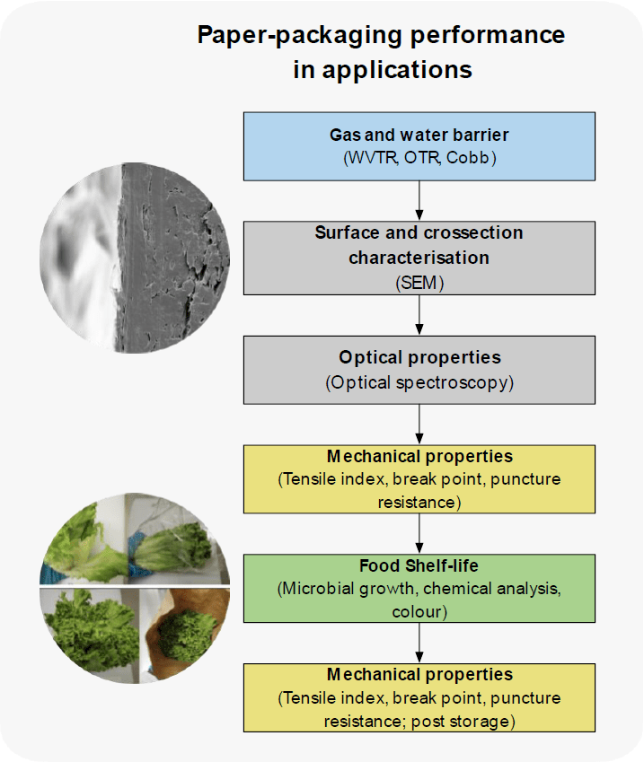 Capability of paper-based packaging to preserve shelf-life of food products