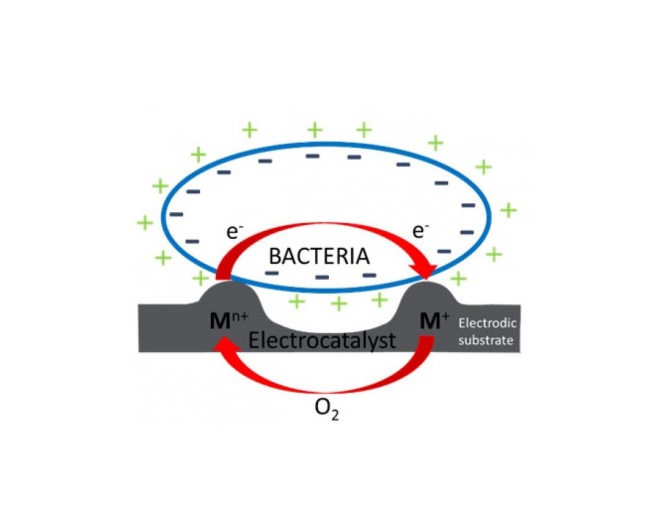 Antimicrobial layers