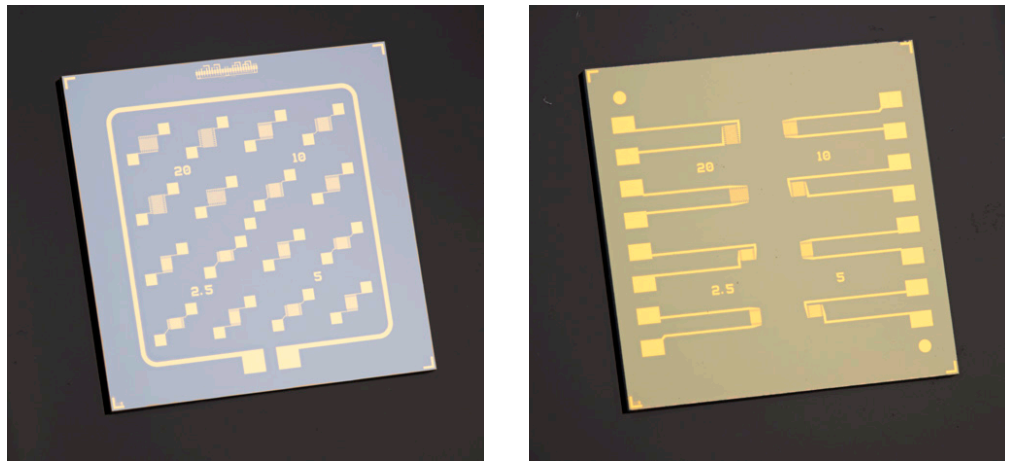 Chips for Organic Field Effect Transistors (OFET)