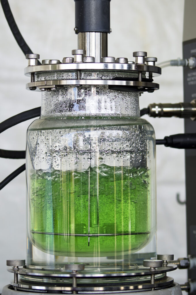 Fermentation reactor with glass container containing green liquid in controlled movement, pressure and temperature